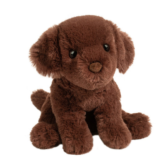 Harlie Chocolate Lab