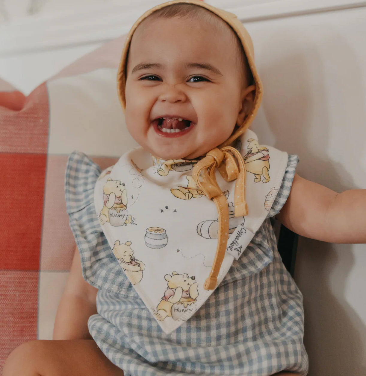 Hundred Acre Wood Bandana Bibs