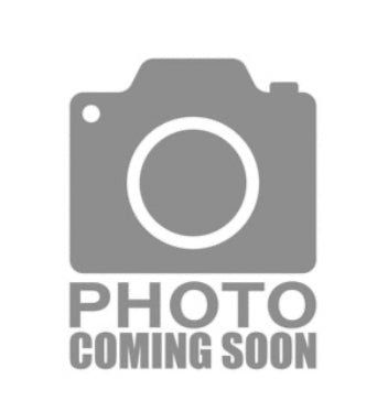 Critter Alabama Shorts