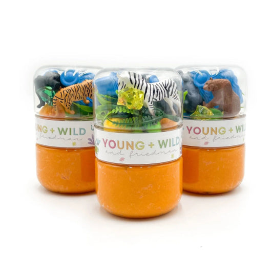 Grab & Go Dough Jar- Zoo