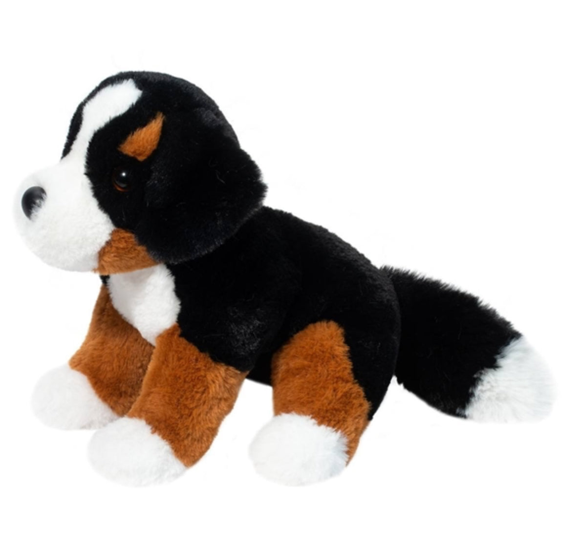 Bowie Bernese Mountain Dog
