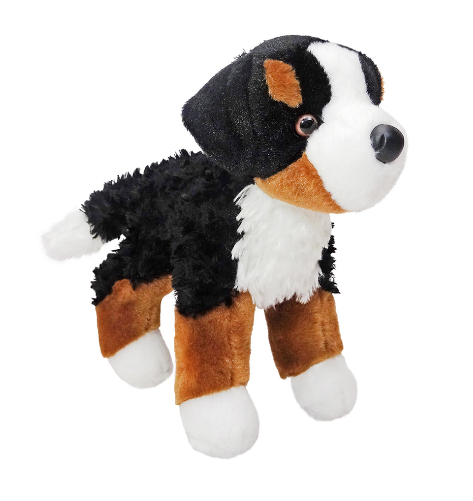 Miranda Bernese Mountain Dog