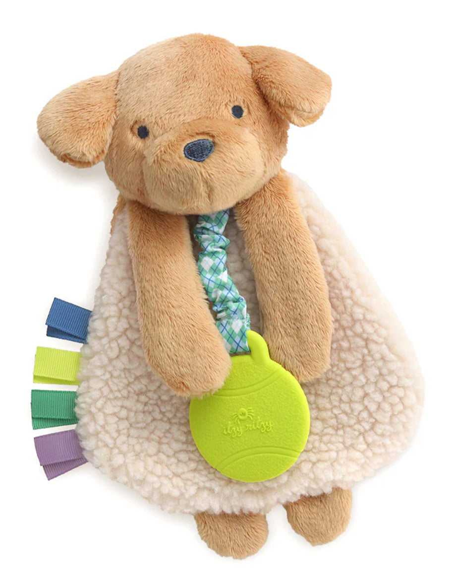 Puppy Plush and Teether Toy