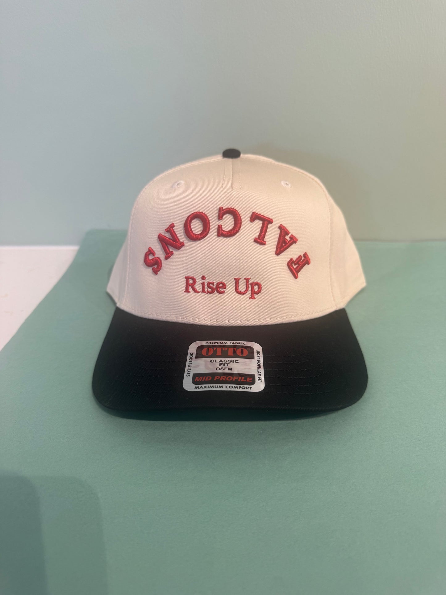 Falcons Custom hat