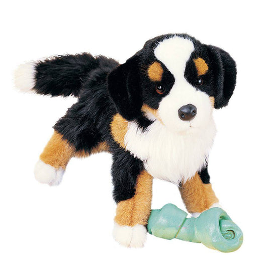 Trevor Bernese Mountain