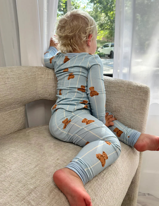 Cozy Cub- Two Piece Jammie Set