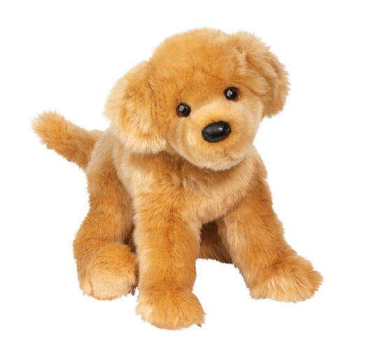 Bella Golden Retriever