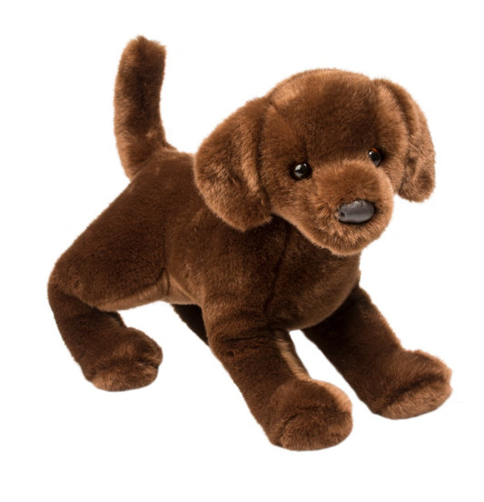 Cocoa Chocolate Lab