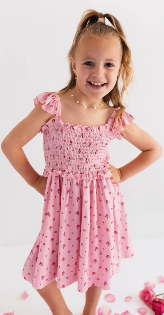 Haven Smocked Twirl Dress