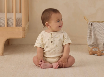 Short Sleeve One Piece Dinosaur Romper