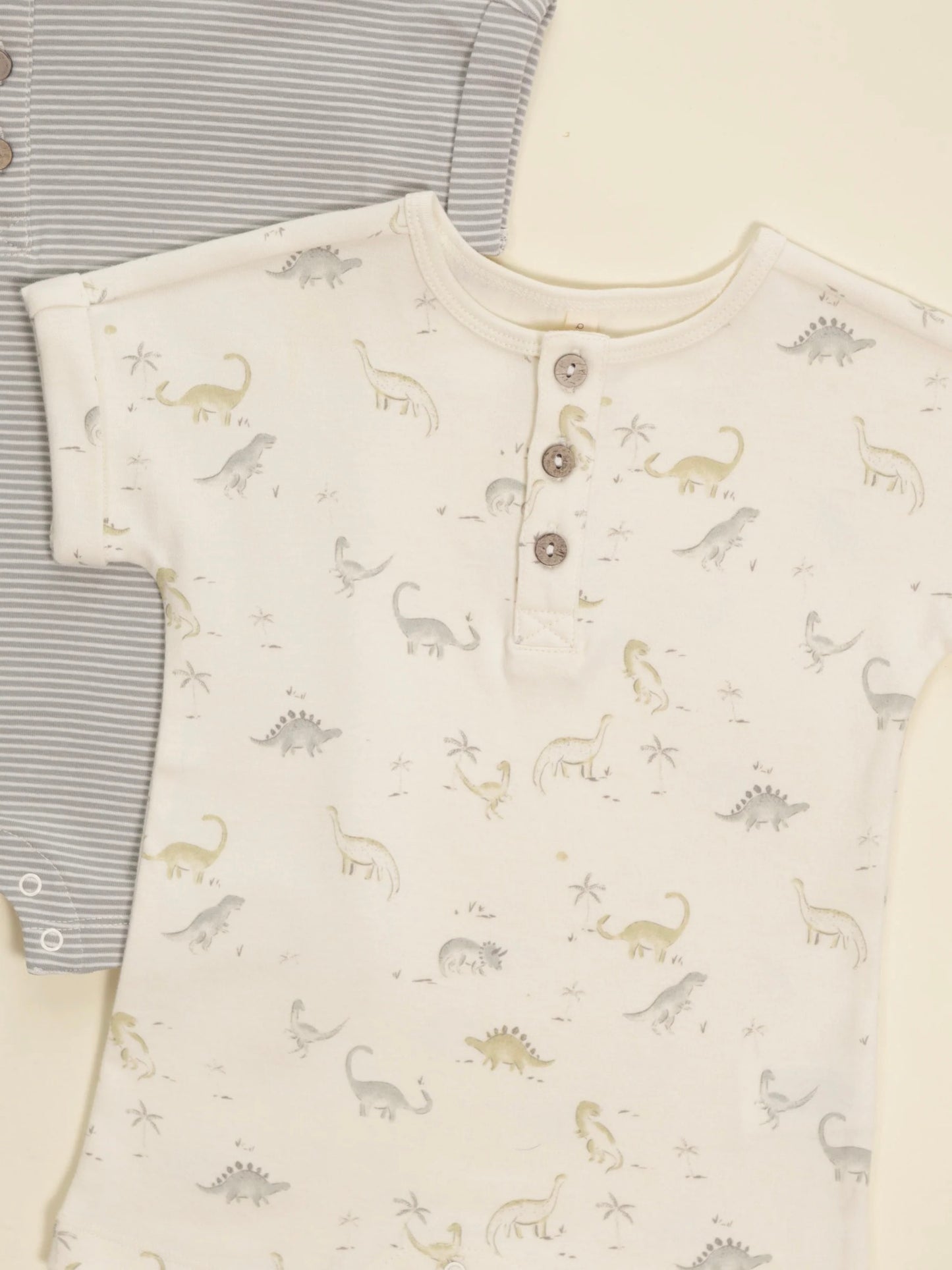 Short Sleeve One Piece Dinosaur Romper