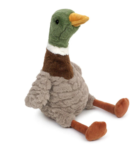 River Mallard Duck