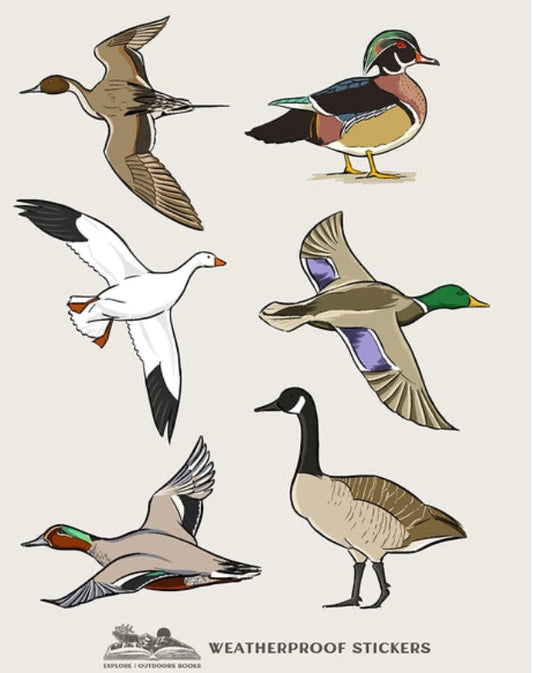 Waterfowl Weatherproof Stickers